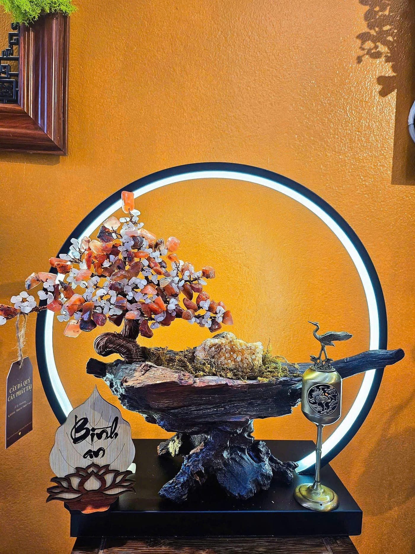 HV-CAY-CAO 19